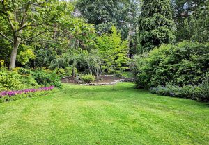 Optimiser l'expérience du jardin à Gremilly